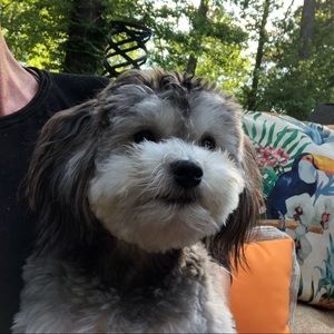 Meet your Posher, Angela